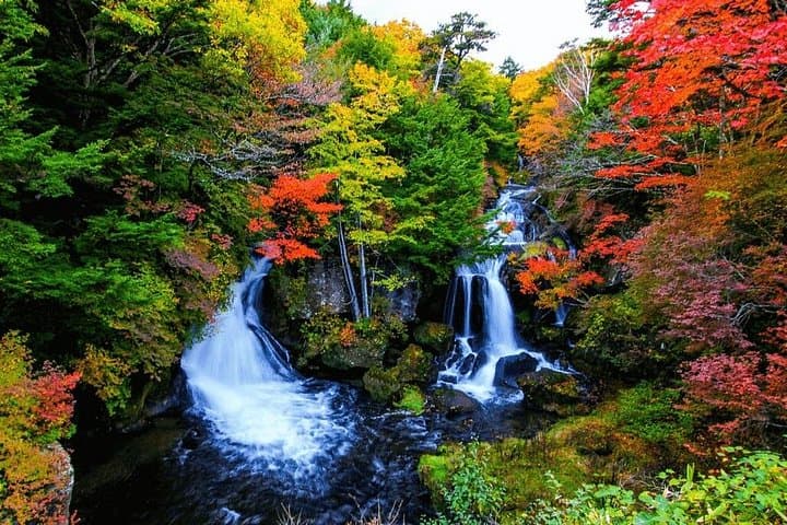 Private Nikko Day Trip From Tokyo: Toshogu, Kegon Falls & Lake Chuzenji photo 4