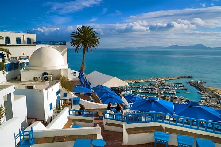 Carthage, Sidi Bou Said & Gammarth Camels: Day Trip from Hammamet or Sousse photo 5