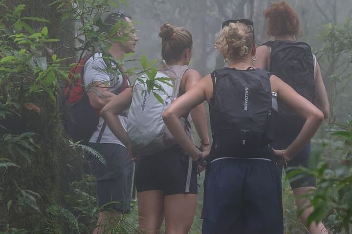 Half-Day Pico Blanco Hike — Escazú Rainforest Views from San José photo 3