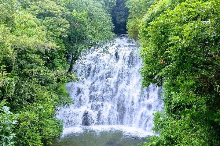 Da Lat Countryside Minivan Shared Tour — Pongour & Elephant Falls Day Trip photo 4