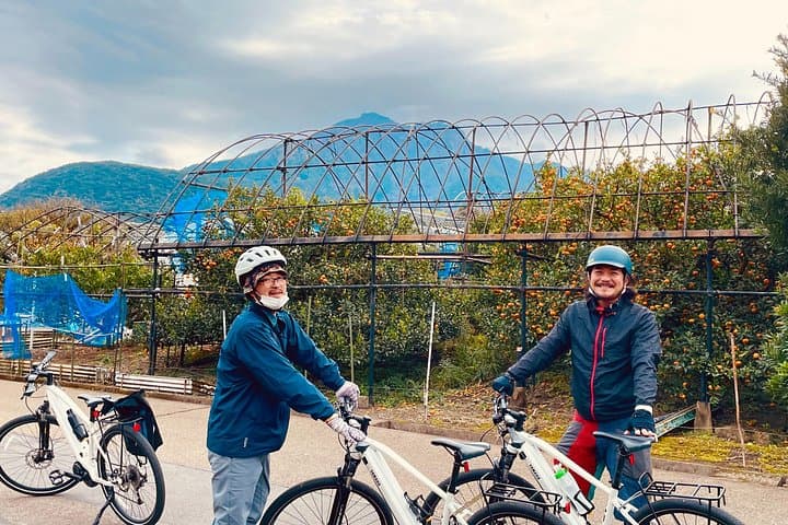Sakurajima Bike Ride — Volcano Farms, Radishes & Mandarin Picking photo 2