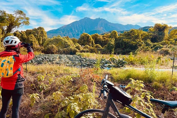 Sakurajima Bike Ride — Volcano Farms, Radishes & Mandarin Picking