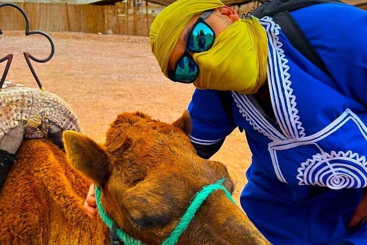 Marrakech’s Agafay Desert: Quads, Camels and a Moroccan Feast photo 4