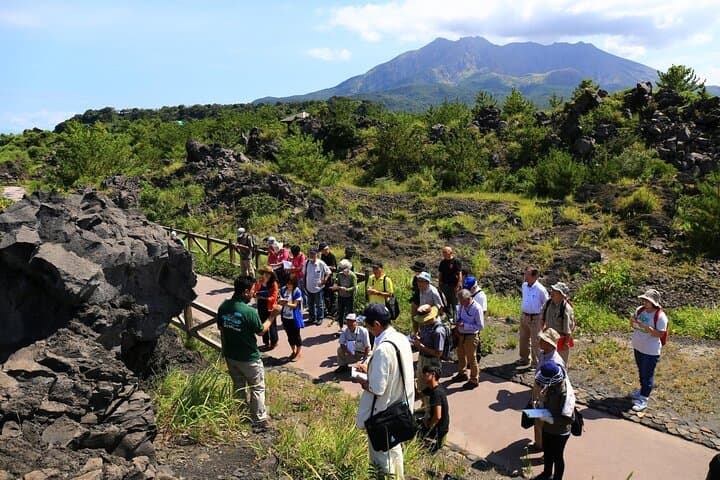 Sakurajima Volcano Guided Walking Tour: Lava Trails & Kinko Bay Views