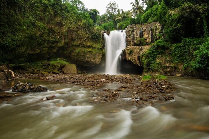 Ubud Day Tour: Monkey Forest, Tegalalang Rice Terraces & Sacred Temples photo 3