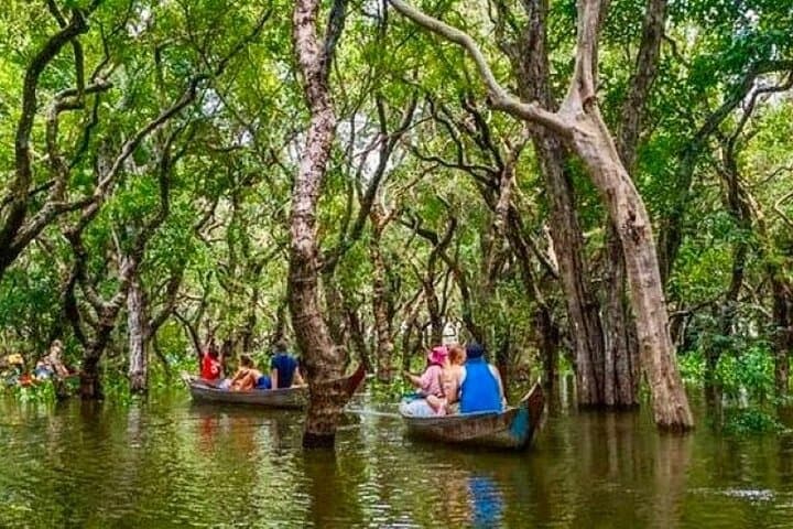 Kompong Phluk Floating Village & Tonle Sap Mangrove Cruise — Half-Day from Siem Reap photo 4
