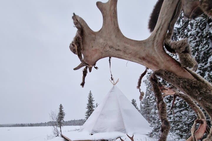 Sami Reindeer Sleigh Ride & Culture Day Tour in Jukkasjärvi photo 6
