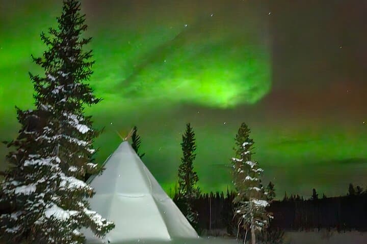 Reindeer Sleigh & Northern Lights Tour in Jukkasjärvi photo 3