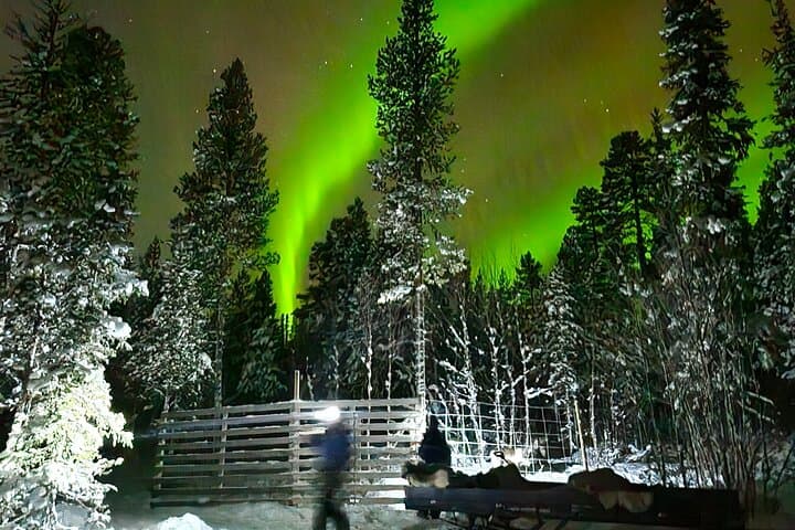 Reindeer Sleigh & Northern Lights Tour in Jukkasjärvi photo 4