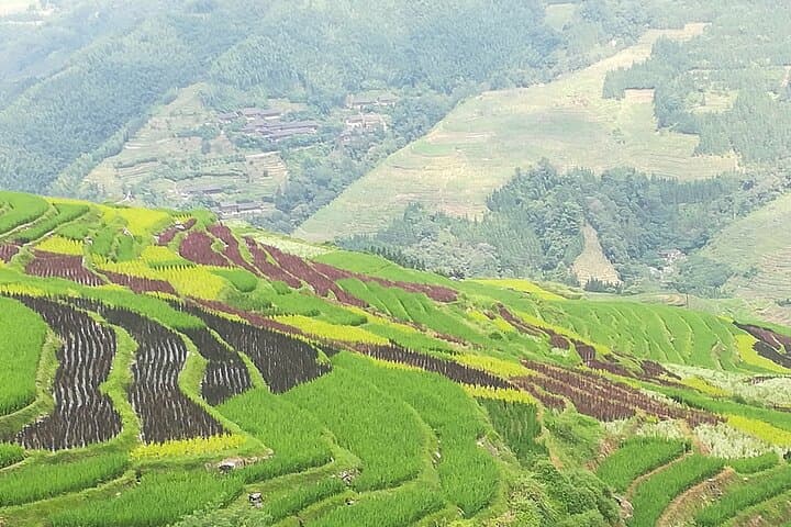 Hike Longji (Dragon's Backbone) Rice Terraces — Full-Day Ping'an & Zhuang Village Trek photo 3