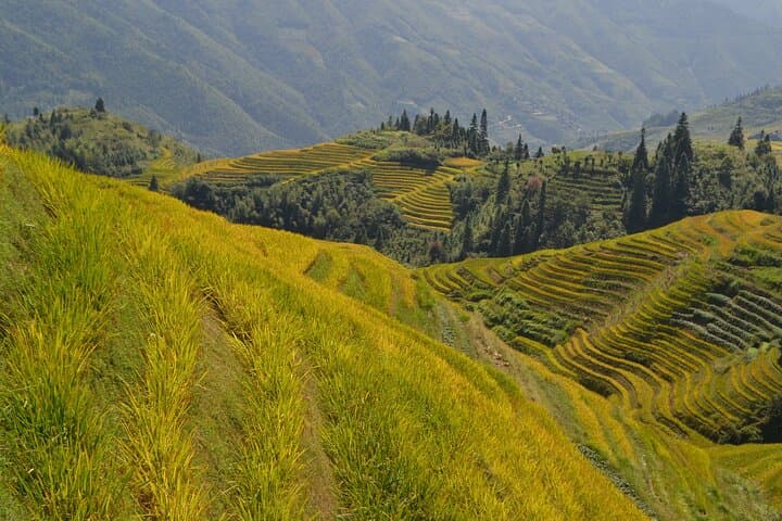 Hike Longji (Dragon's Backbone) Rice Terraces — Full-Day Ping'an & Zhuang Village Trek photo 2