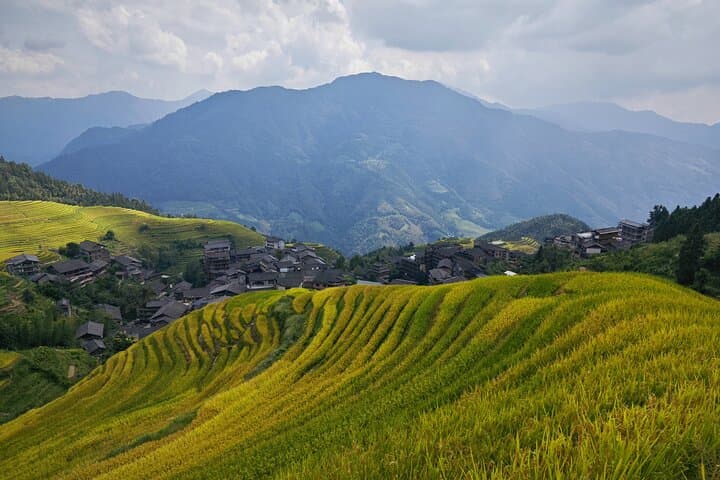 Hike Longji (Dragon's Backbone) Rice Terraces — Full-Day Ping'an & Zhuang Village Trek