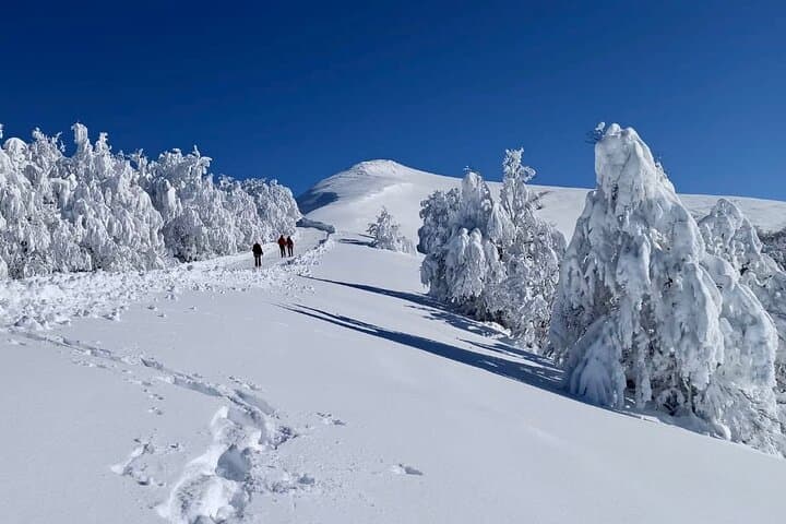 Cauterets Day Trip from Biarritz: Ski, Hike and Spa in the Pyrenees