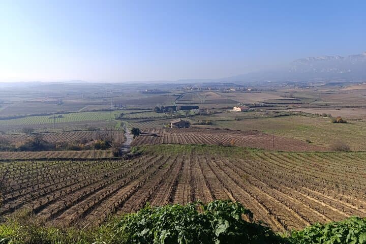 Full-Day Rioja Wine Tour with Pintxos: Rioja Alta & Alavesa Tasting Experience photo 6