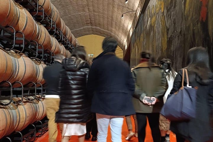 Full-Day Rioja Wine Tour with Pintxos: Rioja Alta & Alavesa Tasting Experience