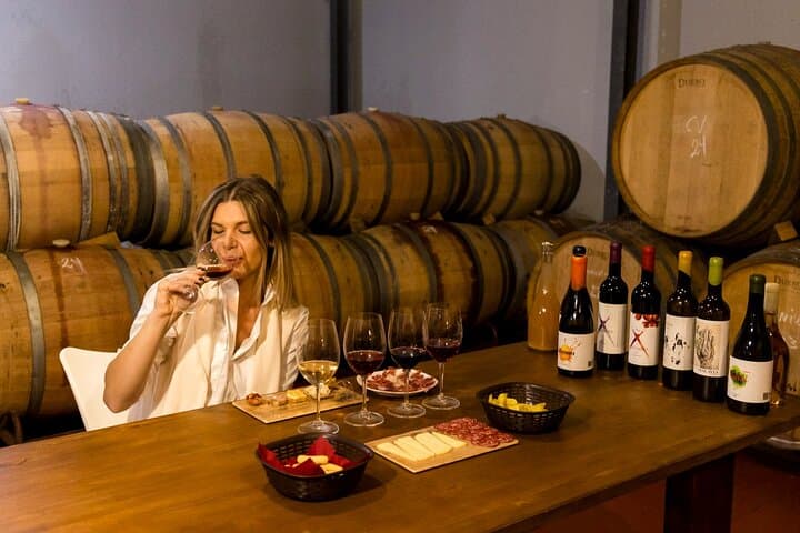 Malaga Organic Vineyard Wine Tour: 6-Wine Tasting & Tapas photo 2