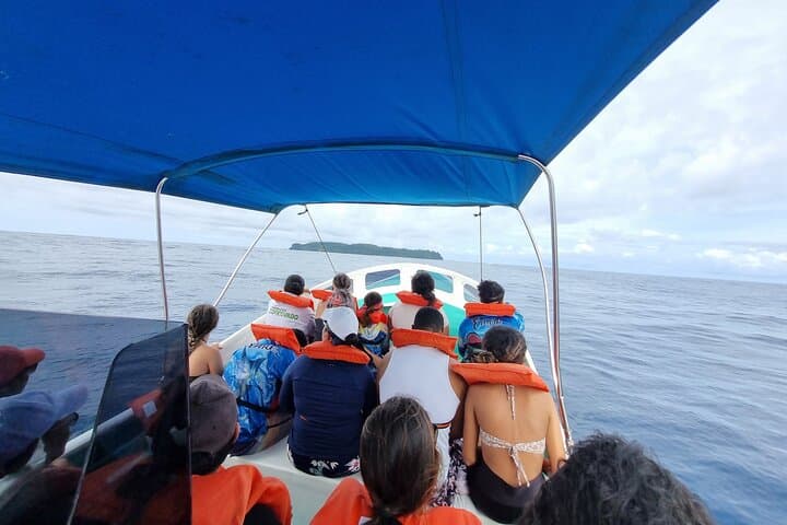Canyon Island Snorkel Tour from Drake Bay — Half-Day Trip with Lunch
