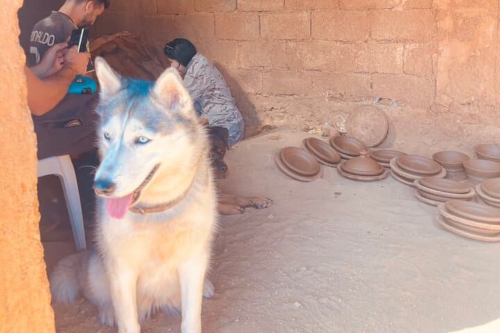 Atlas Mountains Pottery & Nature Day Trip from Marrakech photo 3