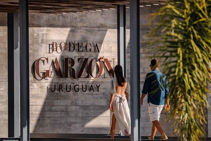 Bodega Garzón Wine Experience from Punta del Este — Day Trip to Uruguay's Top Winery