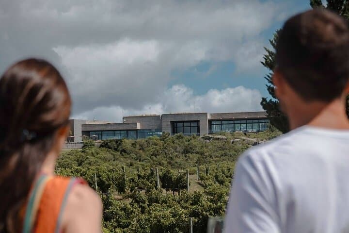 Bodega Garzón Wine Experience from Punta del Este — Day Trip to Uruguay's Top Winery photo 6