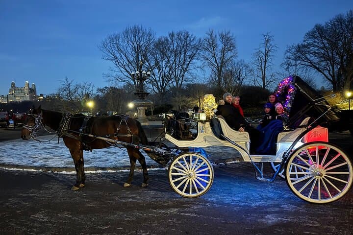 NYC Christmas Lights Horse-Drawn Carriage Tour to Rockefeller Center photo 4