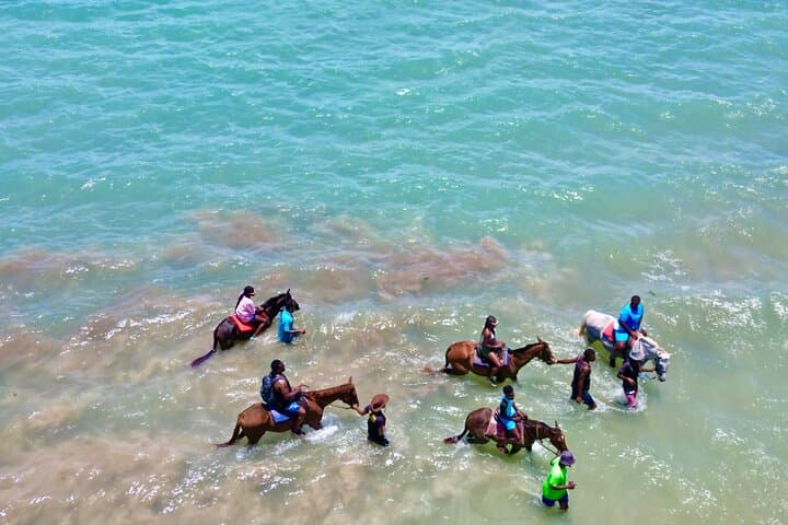 Montego Bay Horseback Riding: Jungle Trails to Private Caribbean Beach photo 5