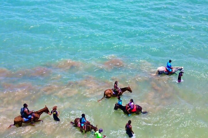 Montego Bay Horseback Riding: Jungle Trails to Private Caribbean Beach photo 6