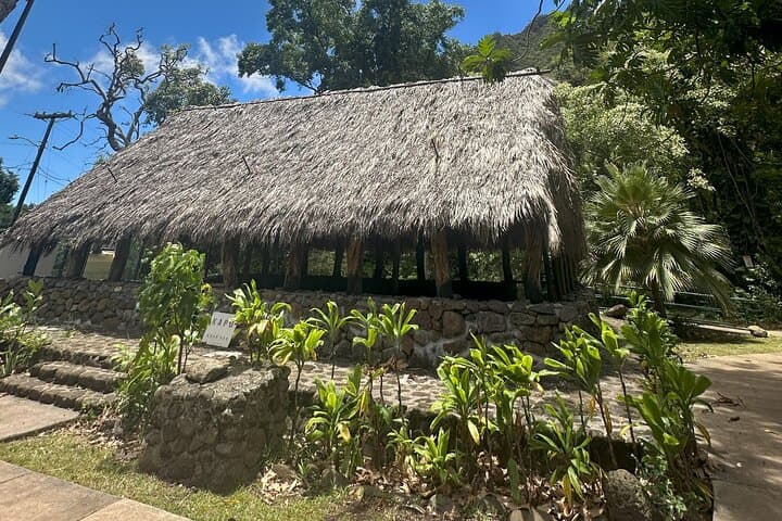 Maui Historical Island Tour — Lahaina to Iao Valley, Honolua Bay & Turtle Lookouts photo 4