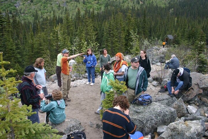 Laughton Glacier Hike & White Pass Rail: Glacier Trek from Skagway photo 4