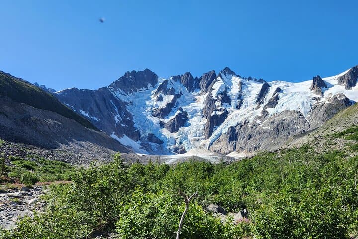 Laughton Glacier Hike & White Pass Rail: Glacier Trek from Skagway photo 6