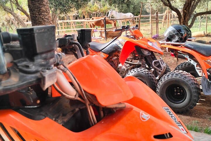 Ourika Valley & Setti Fatma: Full-Day Guided Quad Bike Tour from Marrakech photo 6