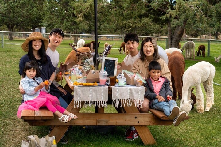 Alpaca Picnic Experience in Bend: Hands-On Farm Lunch with Flying Dutchman Alpacas photo 3
