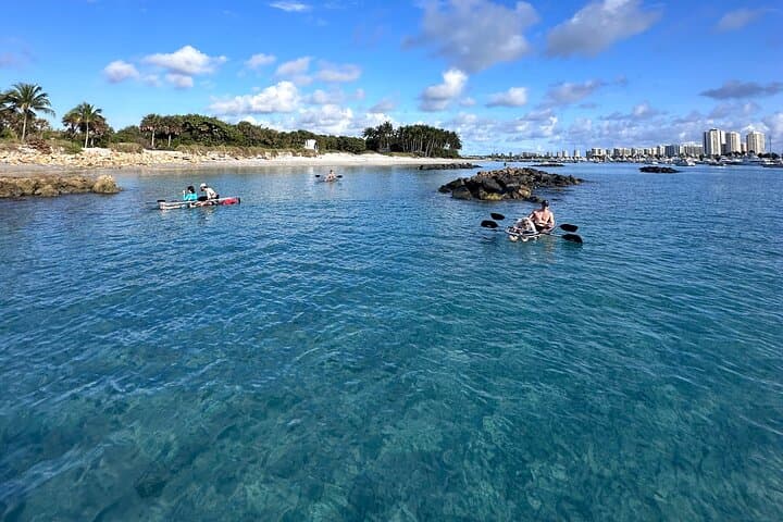 Clear Kayak Guided Tour to Peanut Island from Palm Beach photo 5