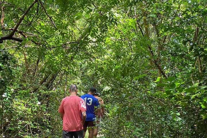 Magens Bay Trail Hike: 2-Hour Coastal Walk to Magens Bay Beach photo 4