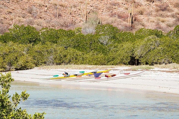 Sea Kayak Tour & Marine Safari to Playa Escondida and Balandra Viewpoint photo 3
