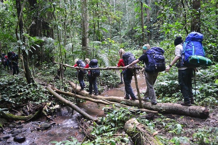Nalan Trail & Khmu Homestay Trek — 2-Day Nam Ha NPA Jungle Experience