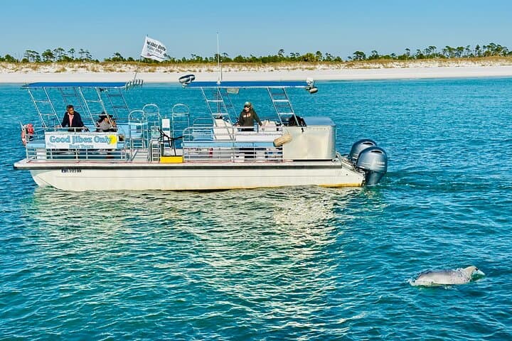 Shell Island Dolphin Sightseeing Boat Tour - 1.5-Hour Pontoon Cruise from Panama City Beach photo 4