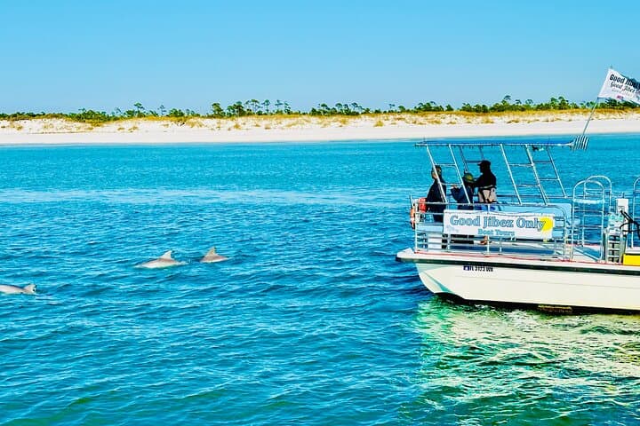 Shell Island Dolphin Sightseeing Boat Tour - 1.5-Hour Pontoon Cruise from Panama City Beach photo 6