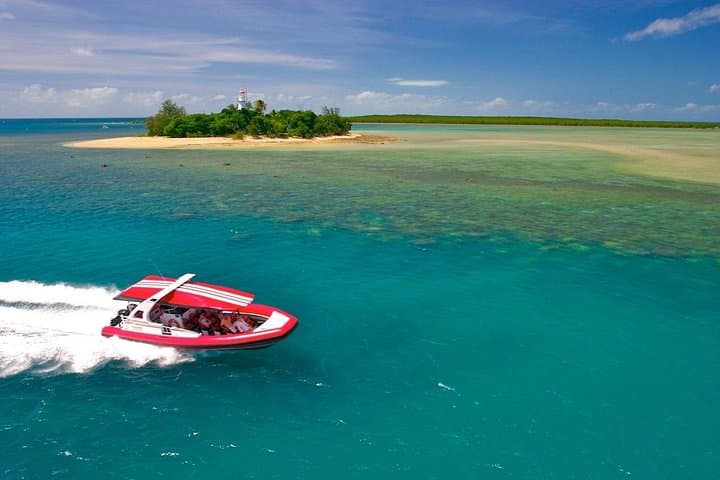 Half-Day Low Isles Lagoon Snorkel from Port Douglas — Fast Boat Access to Sheltered Reefs photo 1