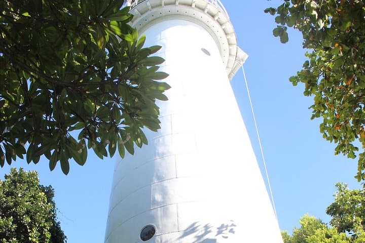 Half-Day Low Isles Lagoon Snorkel from Port Douglas — Fast Boat Access to Sheltered Reefs photo 4