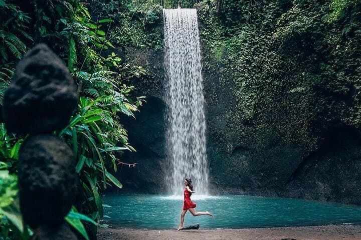 Bali Hidden Waterfalls & Tegalalang Rice Terrace: Private Full-Day Tour from Ubud