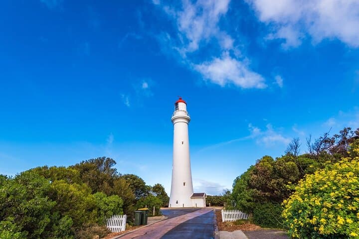 Great Ocean Road Day Tour: 12 Apostles, Loch Ard Gorge & Otway Rainforest photo 3