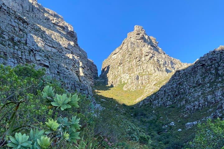 Platteklip Gorge Guided Hike: Table Mountain Summit in 4 Hours photo 2