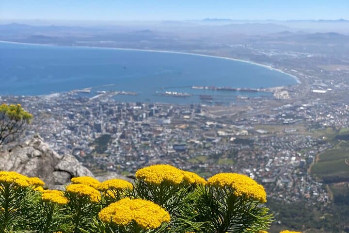 Platteklip Gorge Guided Hike: Table Mountain Summit in 4 Hours photo 4