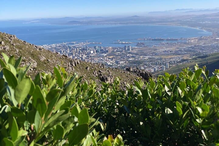 Platteklip Gorge Guided Hike: Table Mountain Summit in 4 Hours photo 5