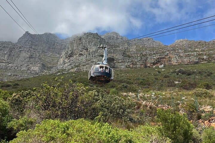 Half-Day Table Mountain Cable Car Experience with AFROGEM — Cape Town Summit Tour photo 3
