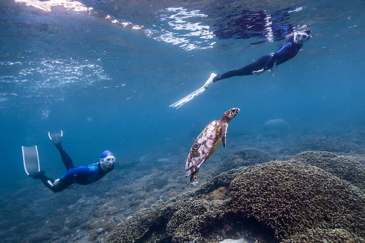 Private Snorkeling & Freediving Trip to Manta Point, Nusa Penida — Swim with Mantas and Reefs photo 2