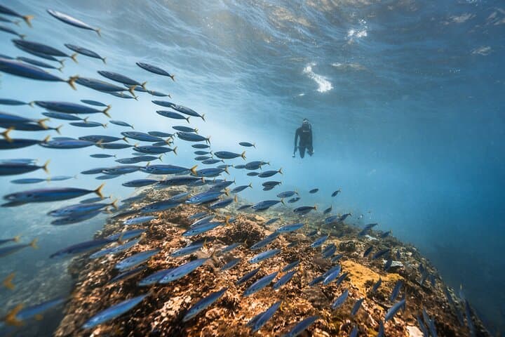 East Coast Nusa Penida Private Snorkeling — Small-Group Reefs & Drift Dives photo 5