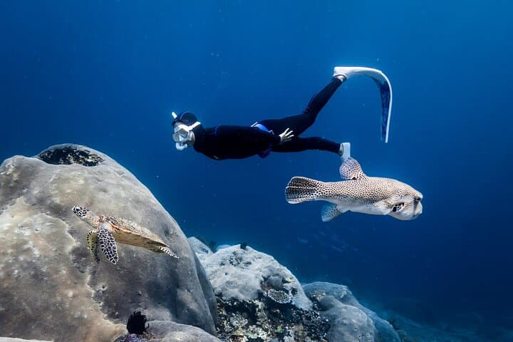 East Coast Nusa Penida Private Snorkeling — Small-Group Reefs & Drift Dives photo 4