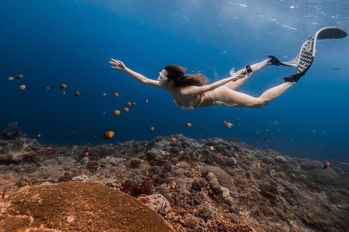 East Coast Nusa Penida Private Snorkeling — Small-Group Reefs & Drift Dives photo 3